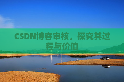 CSDN博客审核,探究其过程与价值